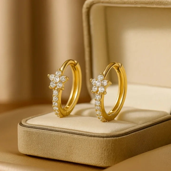 Star Zircon Hoop Earrings | Stainless Steel Multi-Style
