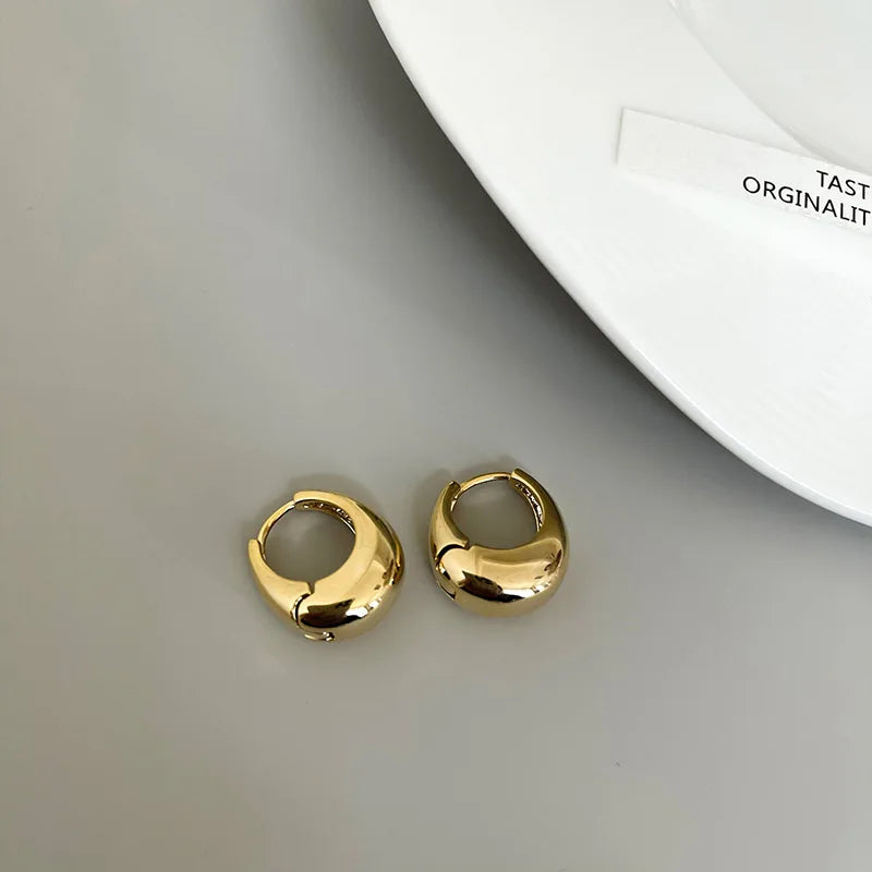 Star Zircon Hoop Earrings | Stainless Steel Multi-Style