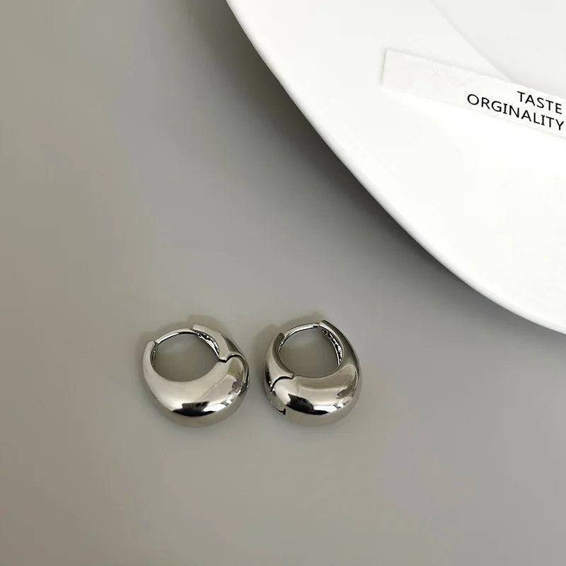 Star Zircon Hoop Earrings | Stainless Steel Multi-Style