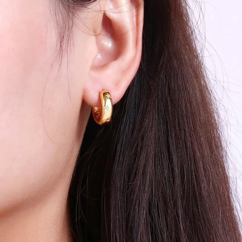 Star Zircon Hoop Earrings | Stainless Steel Multi-Style